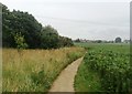 Storth Lane near Todwick