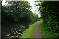 Erewash Canal near Bailey Grove