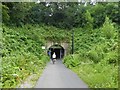 Western entrance to Devonshire Tunnel on Two Tunnels Greenway