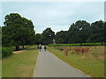 TQ1972 : Cycle route through Richmond Park by Malc McDonald