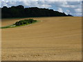 Railway tunnel under a harvested field near Audley End