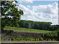 Flint wall on Sparrowsend Hill near Audley End