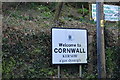 Welcome to Cornwall