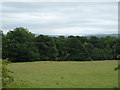 Grazing and woodland near Northwood Farm