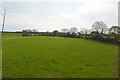 SX0956 : Cornish field by N Chadwick