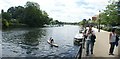 View of a surfboarder on the Thames from The Embankment