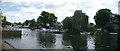 View of houses on Eel Pie Island from The Embankment #3