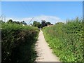 Footpath by the Old Mill Stream