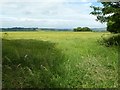 Farmland above Chipping Campden