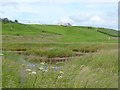 Warkworth Golf Club