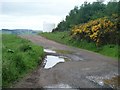 Track to Banff Farm