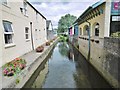 Cowbridge, River Thaw