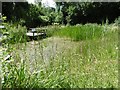 The pond at Tyland Barn