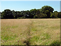 Footpath to Breach House Lane