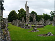 TL8683 : Thetford Priory by James T M Towill