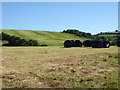 Hay bales in a field near Muttonmill Farm