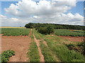 Bridle Path and Crop Fields near Swinston  Hill Wood