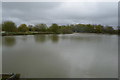 Large fishing lake, Pittlands Fishery