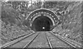 TL5138 : Audley End Tunnel, 1951 by Walter Dendy, deceased