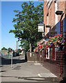 Trent Navigation hanging baskets