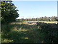 Footpath Skirting Lindrick Golf Course