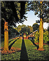 A July evening in West Bridgford Park