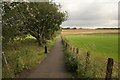 Footpath beside Lenzie Golf Course