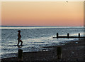 TQ1201 : Evening Swim, West Worthing, West Sussex by Christine Matthews