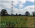 Power lines near Mutterton