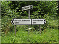 TM0080 : Roadsigns on the B1111 Common Road by Geographer