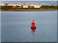 SU4605 : Cadland Marker Buoy, Southampton Water by David Dixon