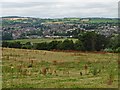 Cullompton, viewed from Old Hill