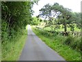 Country road near Greystoke Gill