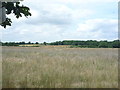 Farmland off the B585