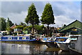 Boatyard with two conspicuous trees, Bedworth