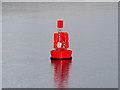 SU4208 : Marker Buoy "Test" in Southampton  Water by David Dixon