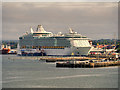 SU4111 : Independence of the Seas at Southampton City Terminal by David Dixon