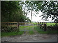 Field entrance off Swannymote Road