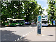 SU4211 : Bus Stops on Pound Tree Road by David Dixon