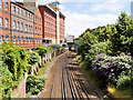 Railway at Kingsland Place (Looking East)