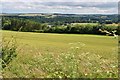 Cereal field at Clinthill