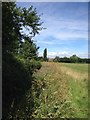 Towards Cleat Hill