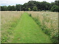 Footpath in Selborne