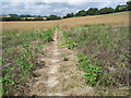 Hangers Way towards Alton