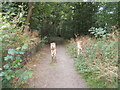 Footpath - Close Hill Lane