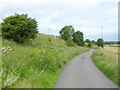 NY4931 : C2C cycle route near Newton Rigg College by Oliver Dixon