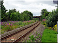 Near the site of Meole Brace Station