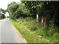 TM0479 : B1113 Redgrave Road & Chequers Lane Postbox by Geographer