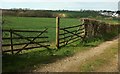 Field west of Holsworthy