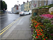 H4472 : Floral display, John Street, Omagh by Kenneth  Allen